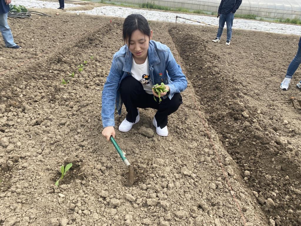 谈球吧体育指定入口